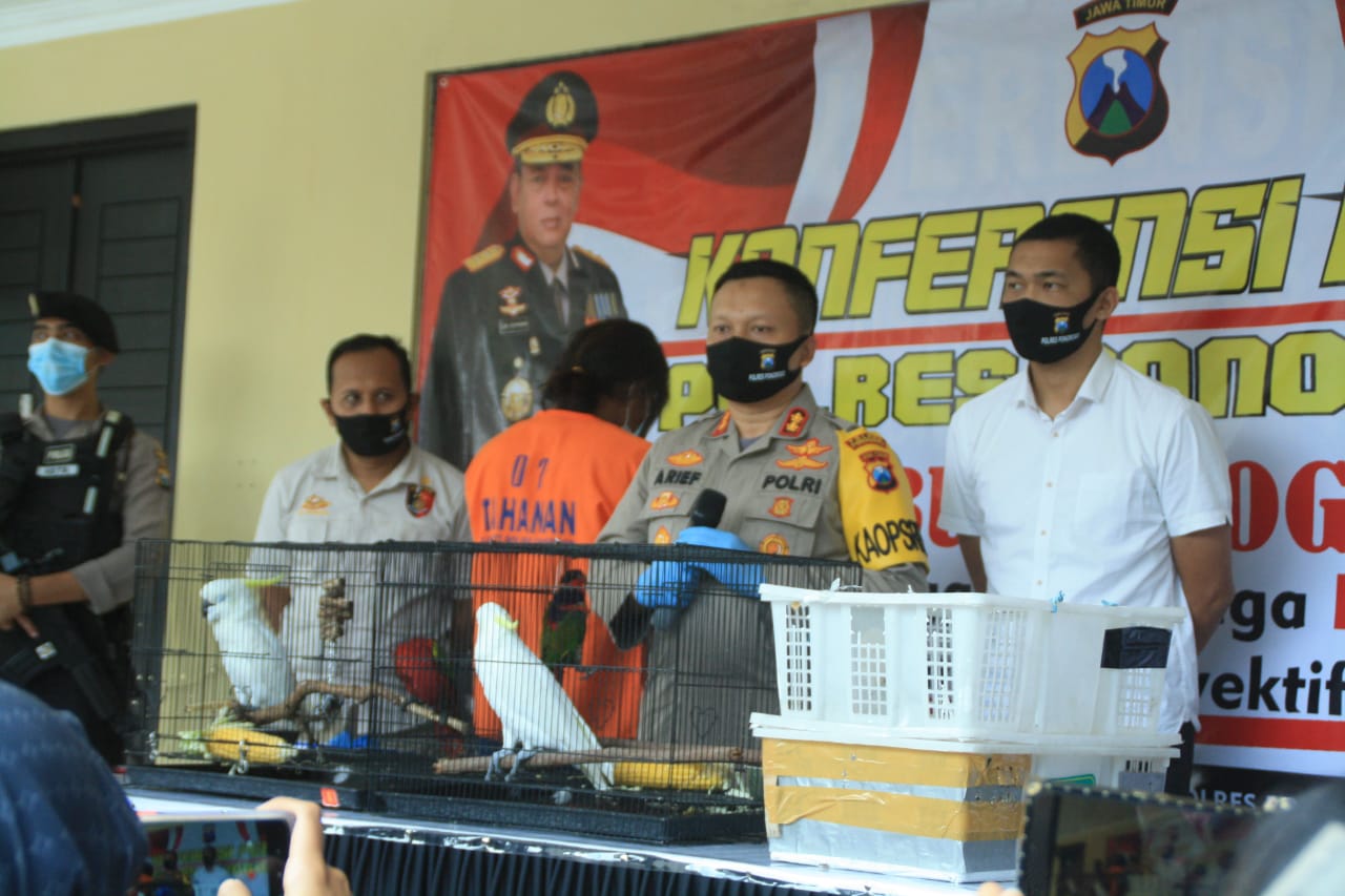 Photo of Jual Nuri Kepala Kuning Dan Merah, Aa Warga Madiun Terancam 5 Tahun Penjara