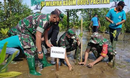 Dandim 0801 Pacitan bersama jajajran  melakukan gerakan penanaman Mangrove di Pantai Watu Mejo Pacitan untuk mencegah abrasi, Jum'at ( 04/03/2022)