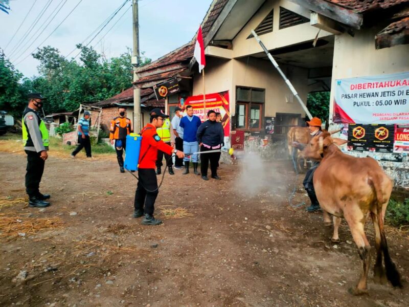 RUTIN : Petugas BPBD Ponorogo saat melakukan penyemprotan ternak di Pasar Hewan Jetis kemarin (9/08/2022).