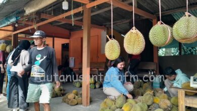 Photo of Ternyata, Setiap Dusun Di Ngebel Punya Durian Unggulan Lho!
