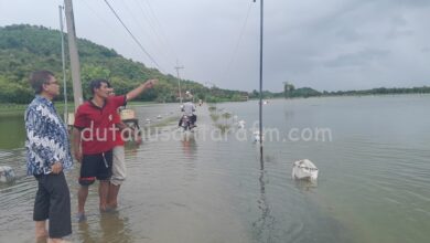Photo of 522 H Padi Di Ponorogo Tergenang Banjir , 0,14 H Puso