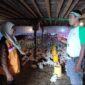 Suhari Donan mantan pekerja Migran eksis beternak ayam potong, Minggu (17/03/2024) 