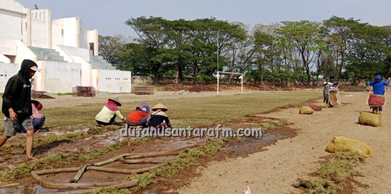 Para perempuan  asal Kabupaten Malang Jawa Timur  bekerja  menanam Ruput Zoysia Japonika  di Stadion Bathoro Katong.