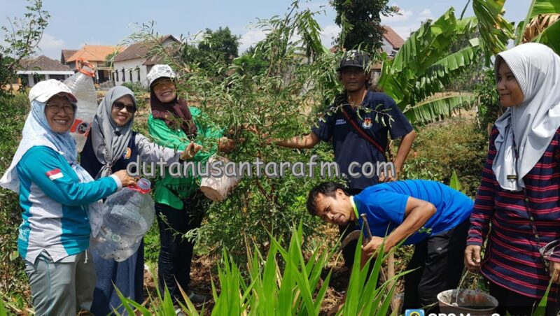 Gerakan penanam  pohon Asam kembalikan ikon nama Lingkungan Asem Mlancing Dusun Malang Desa Lembah Kecamatan Babadan  , Minggu ( 08/09/2024) 